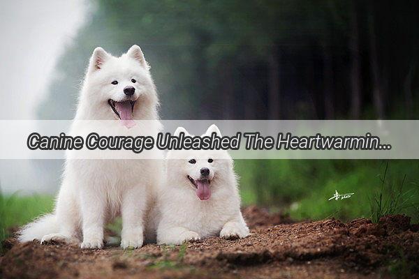 Canine Courage Unleashed The Heartwarming Episode Where the Animated Dog Saves Ding Ding